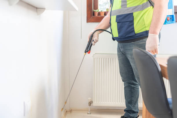 Best Pest Inspection Near Me  in Lido Beach, NY