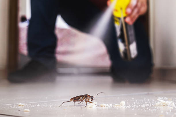 Best Cockroach Control Services  in Lido Beach, NY
