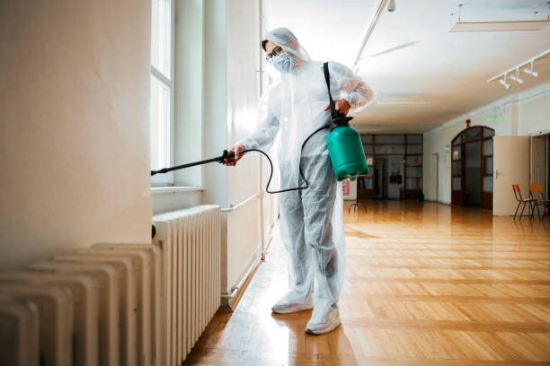 Best Flea Control Services  in Lido Beach, NY
